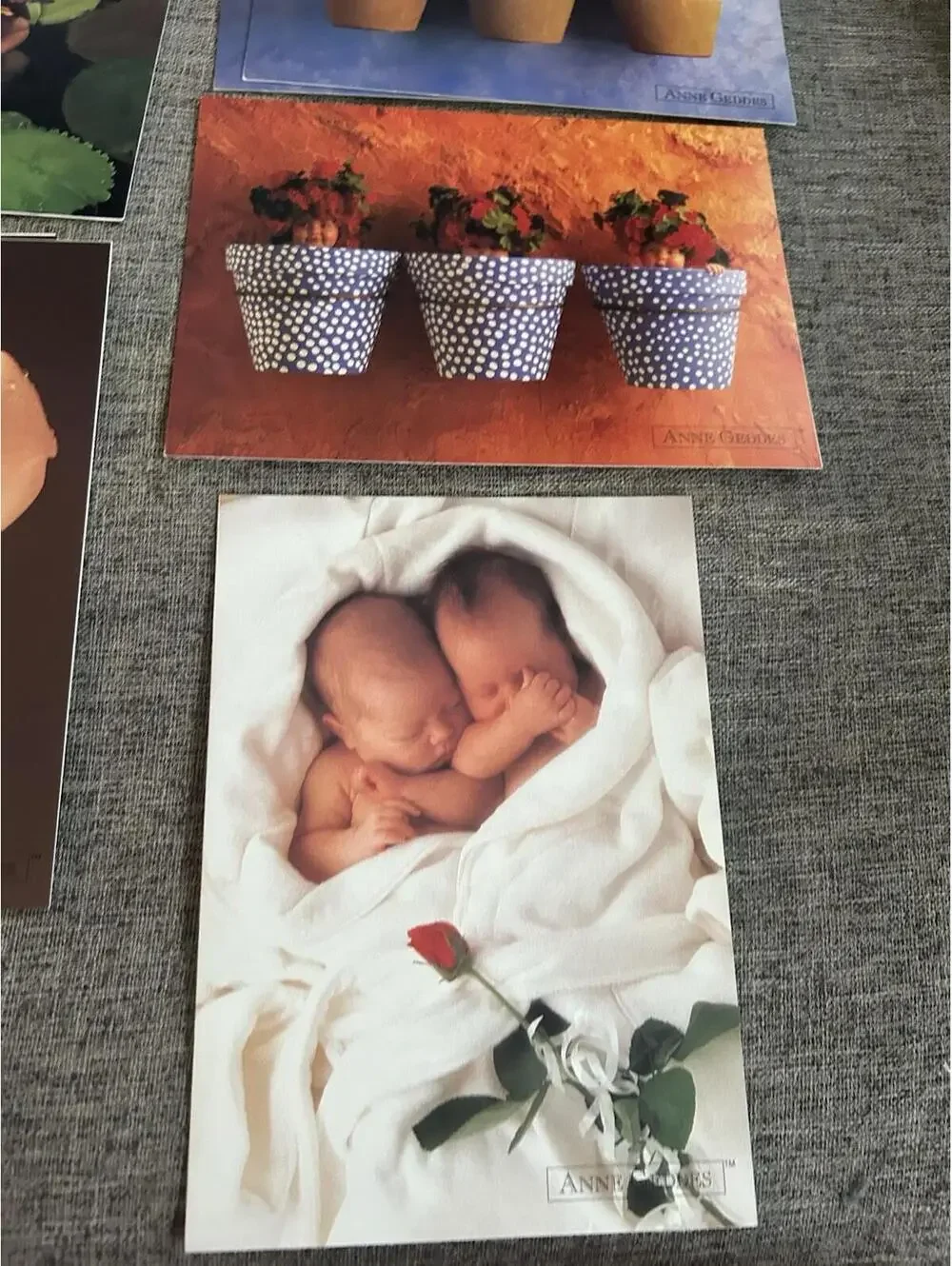 Anne Geddes there are